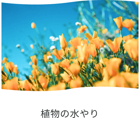 お花畑の写真